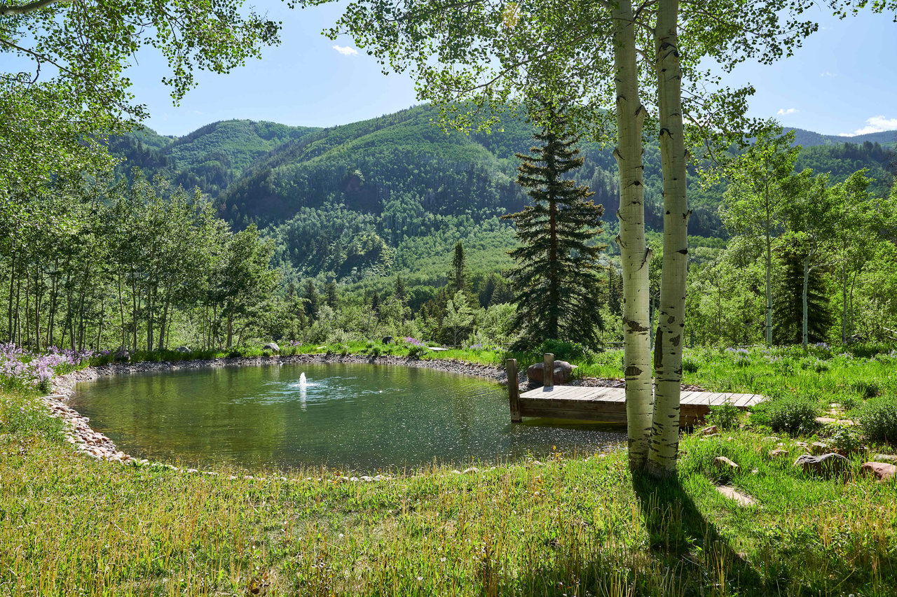  Ideal Mountain Retreat in Aspen 