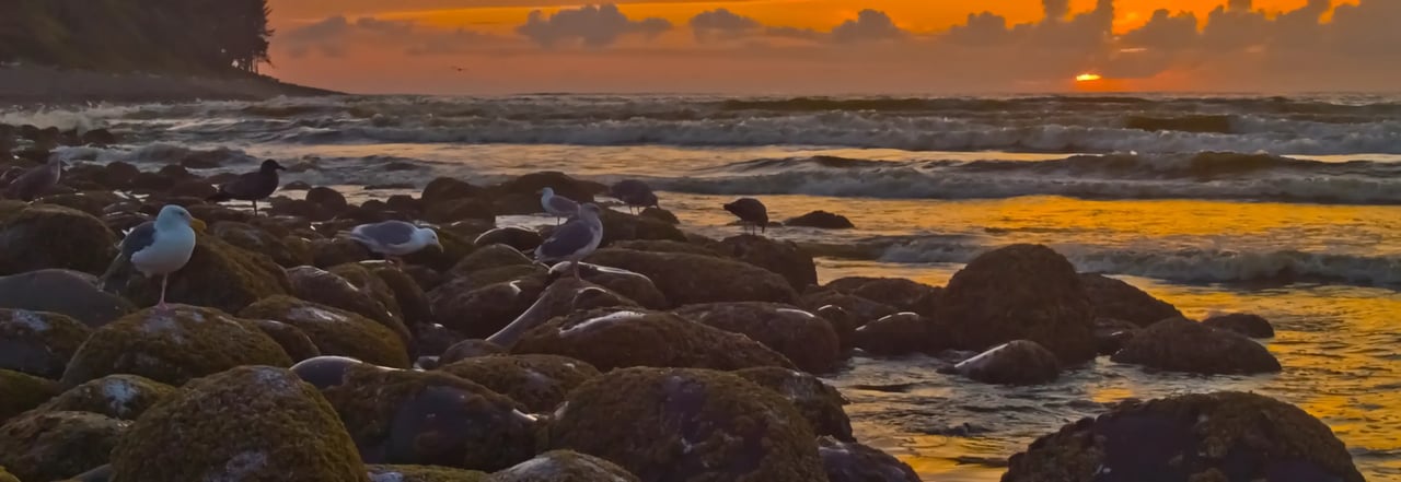 Sunset and Seagulls on the rocks off Ocean Vista Dr. Seaside Oregon