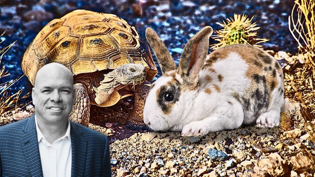 Want exponential growth? Start with these 1%-a-day improvements