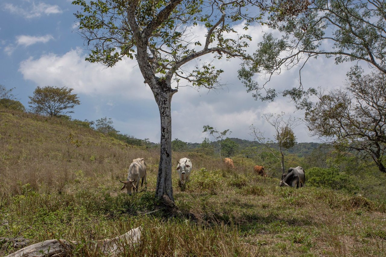 Central Valley View Parcel, Ciudad Colon, San Jose