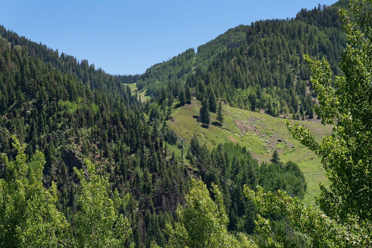 Nestled in the Heart of the Aspen Core