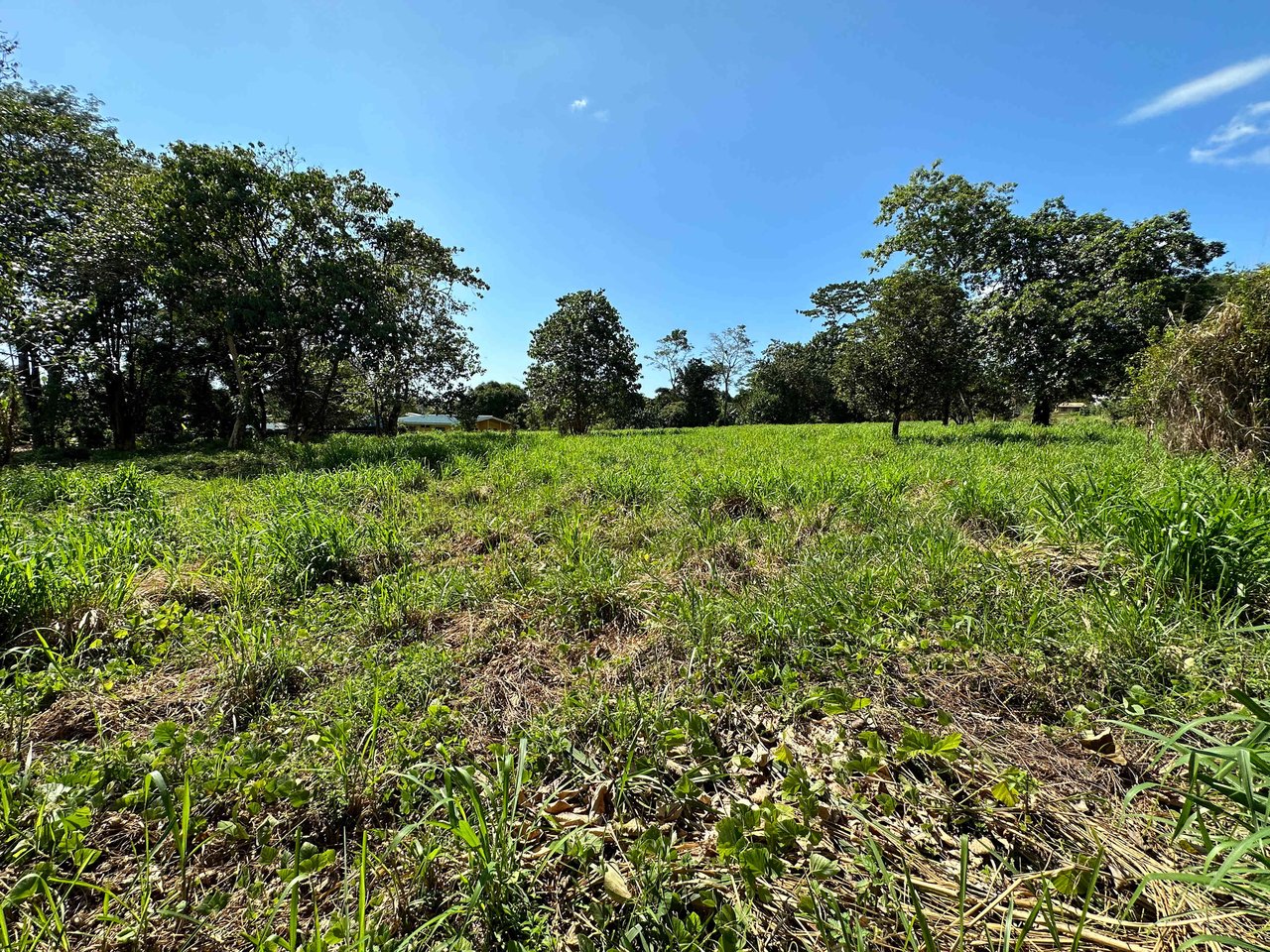 Over 3 Acres, Mountain View Lot in the Heart of Ojochal, Ready for Development!.
