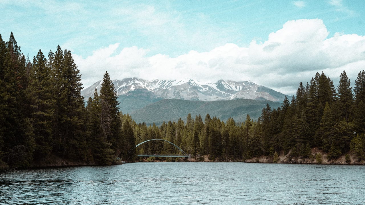 Introducing Seasons Property Management: Your Trusted Partner in Property Care