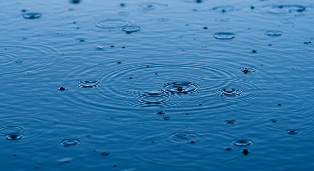 Rainy Day Fun: 5 Exciting Activities for Kids in the Bay Area