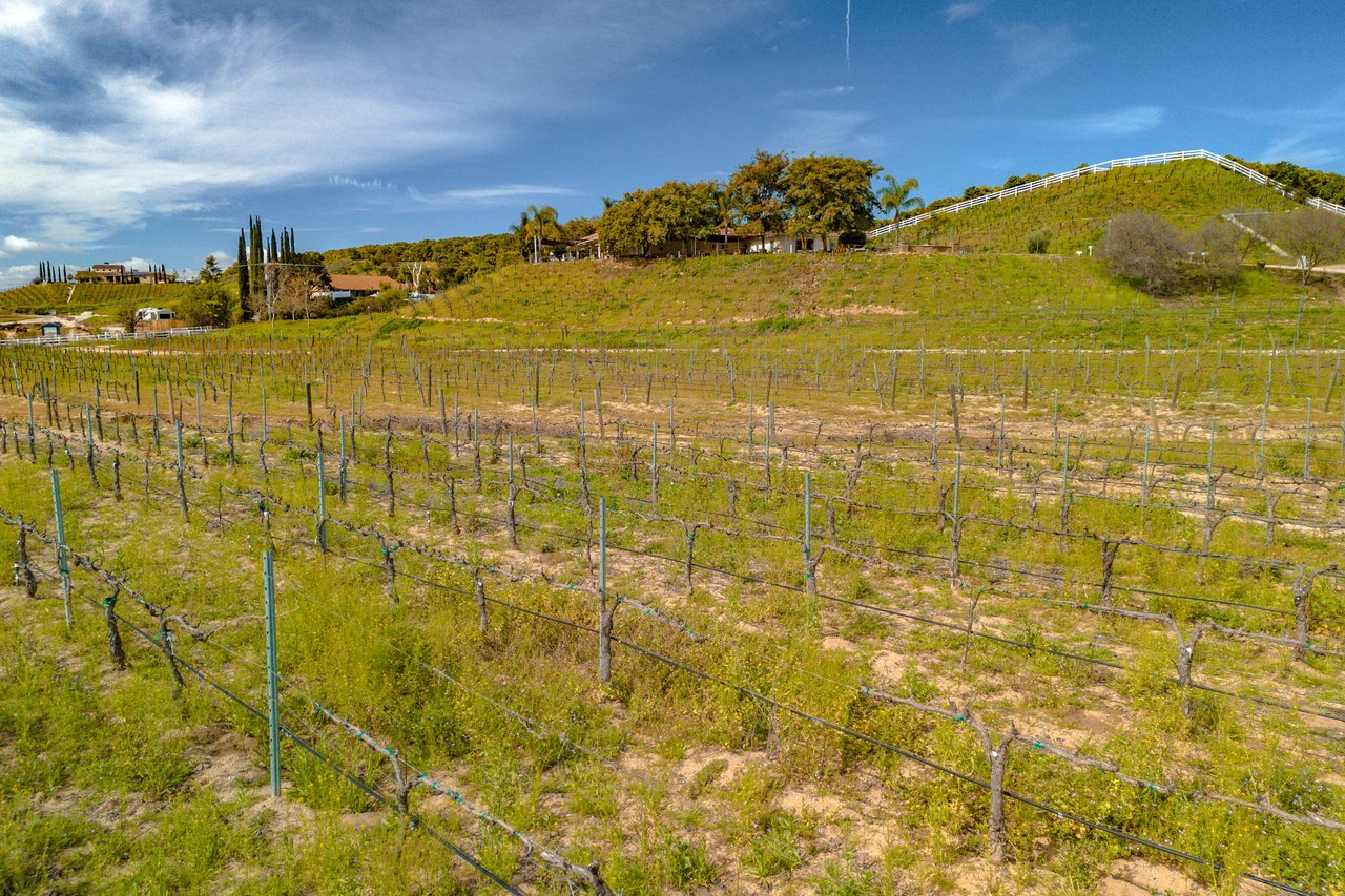 Class IV Winery 