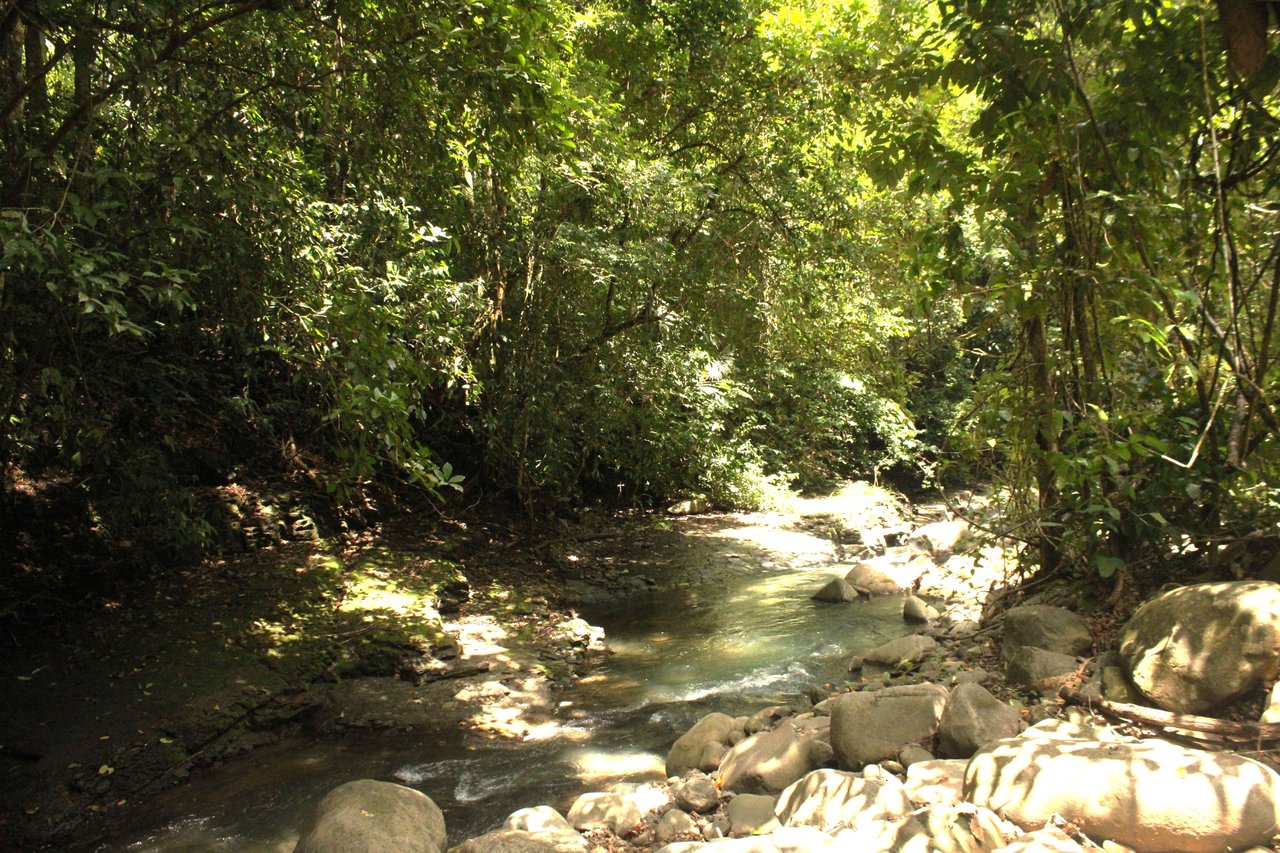 Income Producing Property with Ocean View close to Dominical