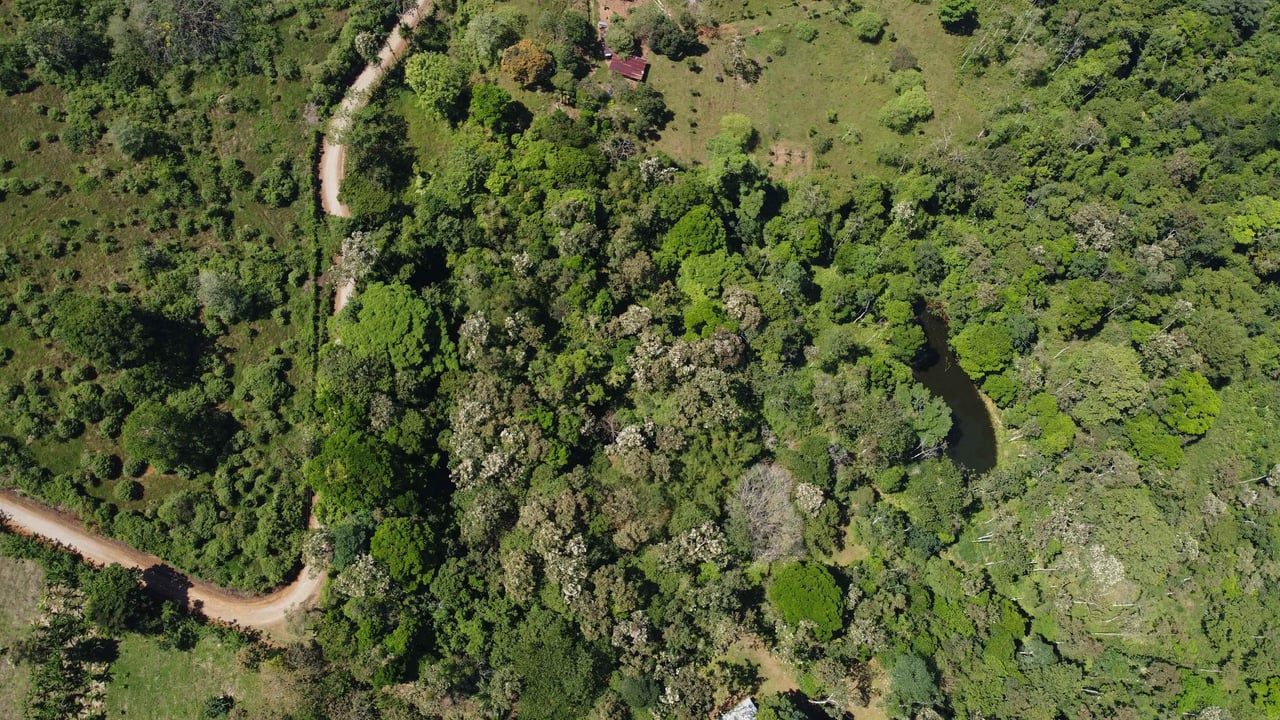 Finca La Paz | Scenic Property in Santo Domingo de Bijagua For Sale!