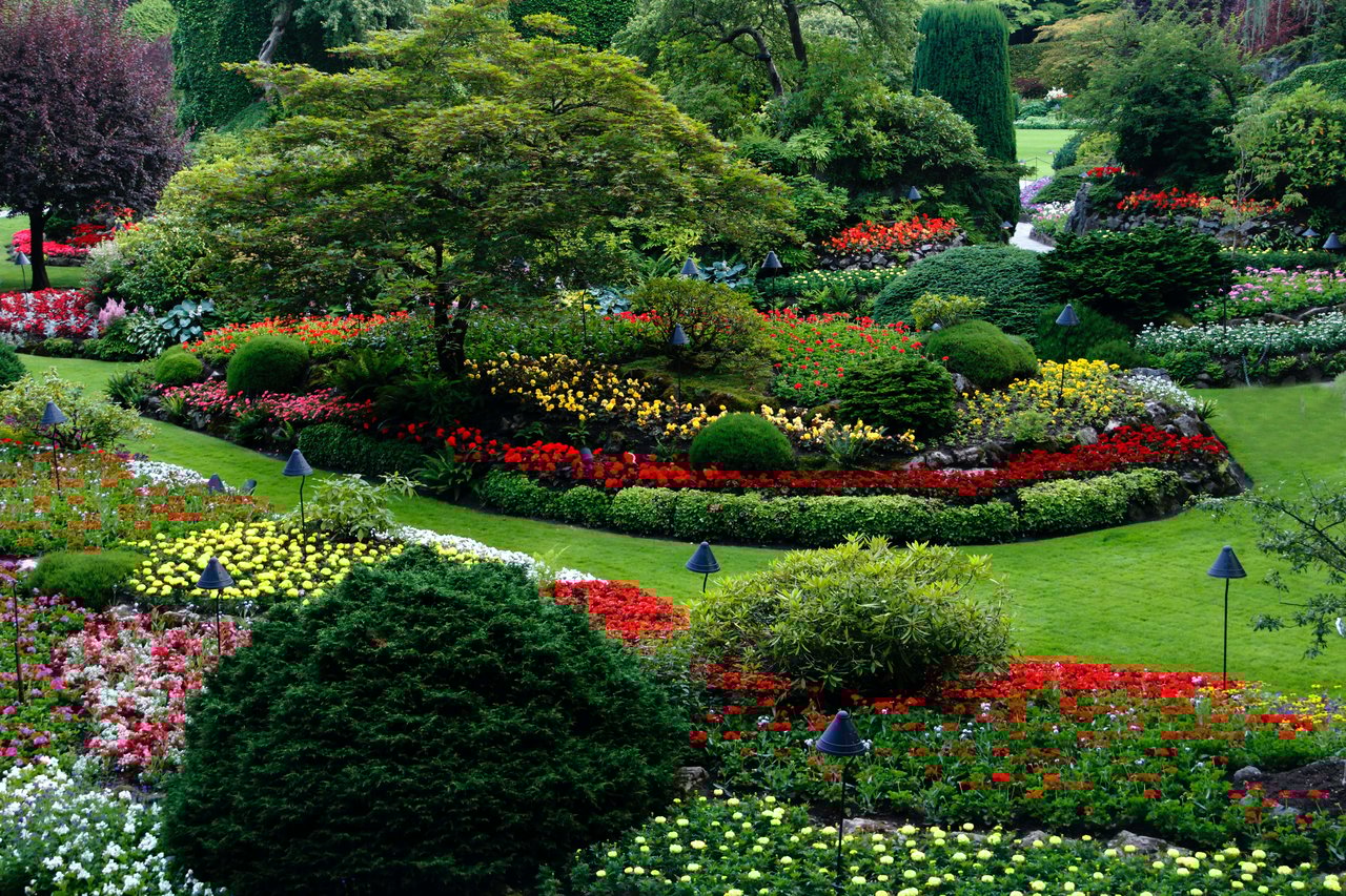 Best Plants and Shrubs for Curb Appeal
