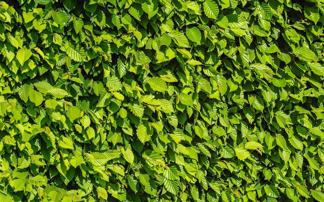 Reserva Conchal: Luxury Living in a Clean, Green Space