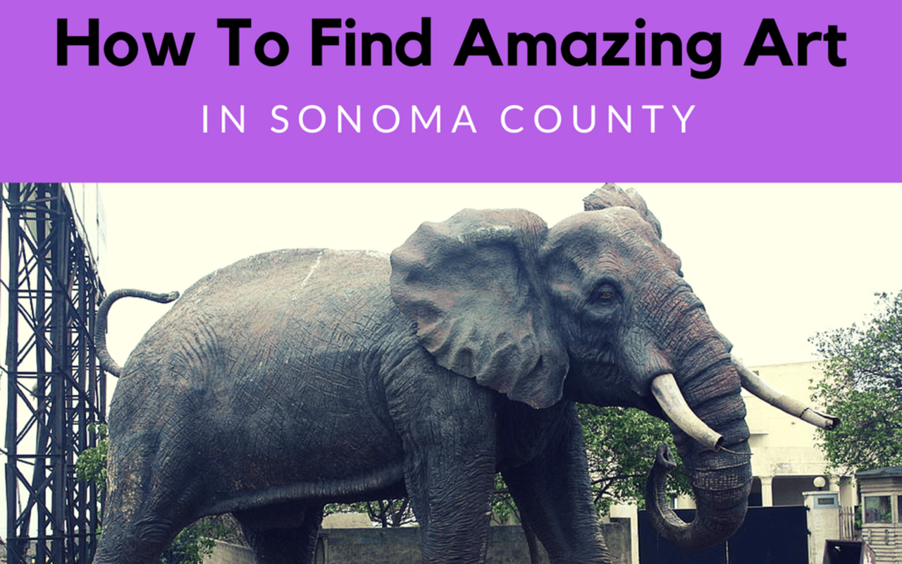 How To Find Amazing Art In Sonoma County