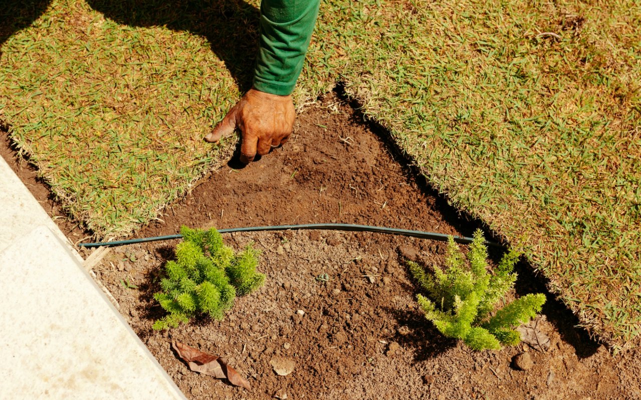 The Role of Landscaping in Boosting Your Home's Aesthetic Appeal