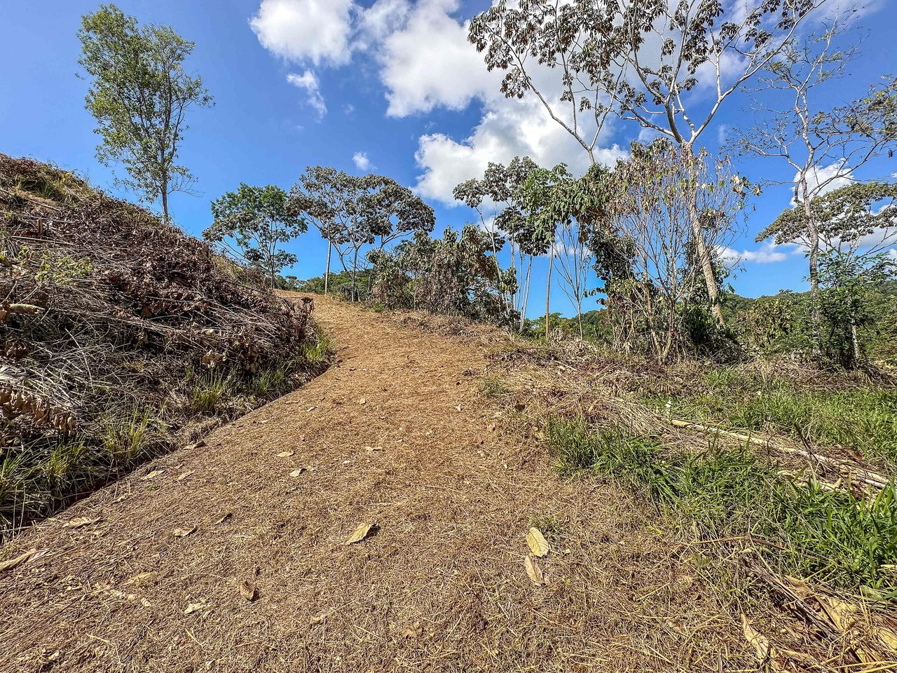 An elevated 1.2 acres lot with two plantels, panoramic mountain and jungle views.