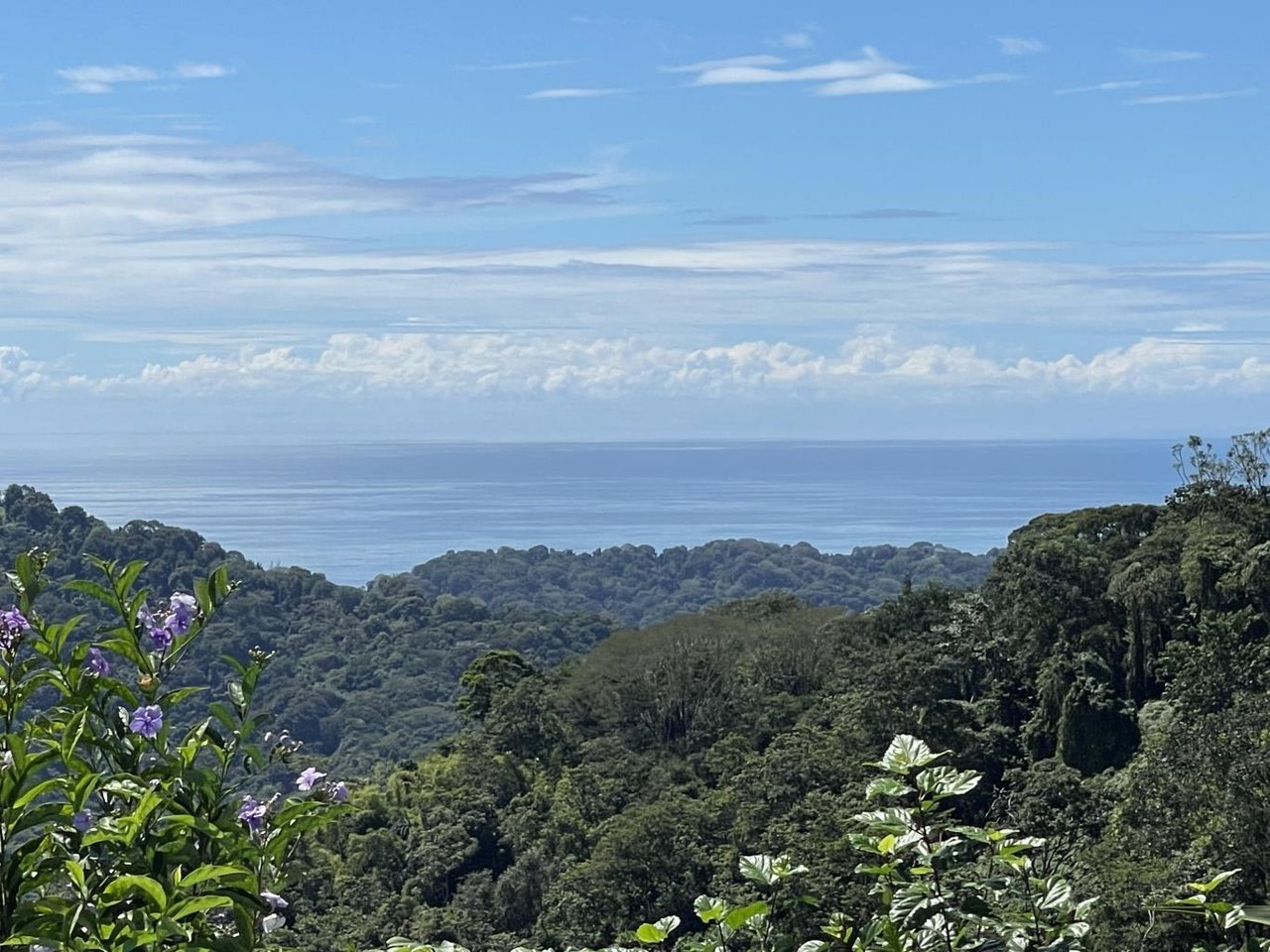 5.2 Acres, 2 Bedroom Home With 60 Ft Infinity Lap Pool, 1 Bedroom Guest House, Ocean View!