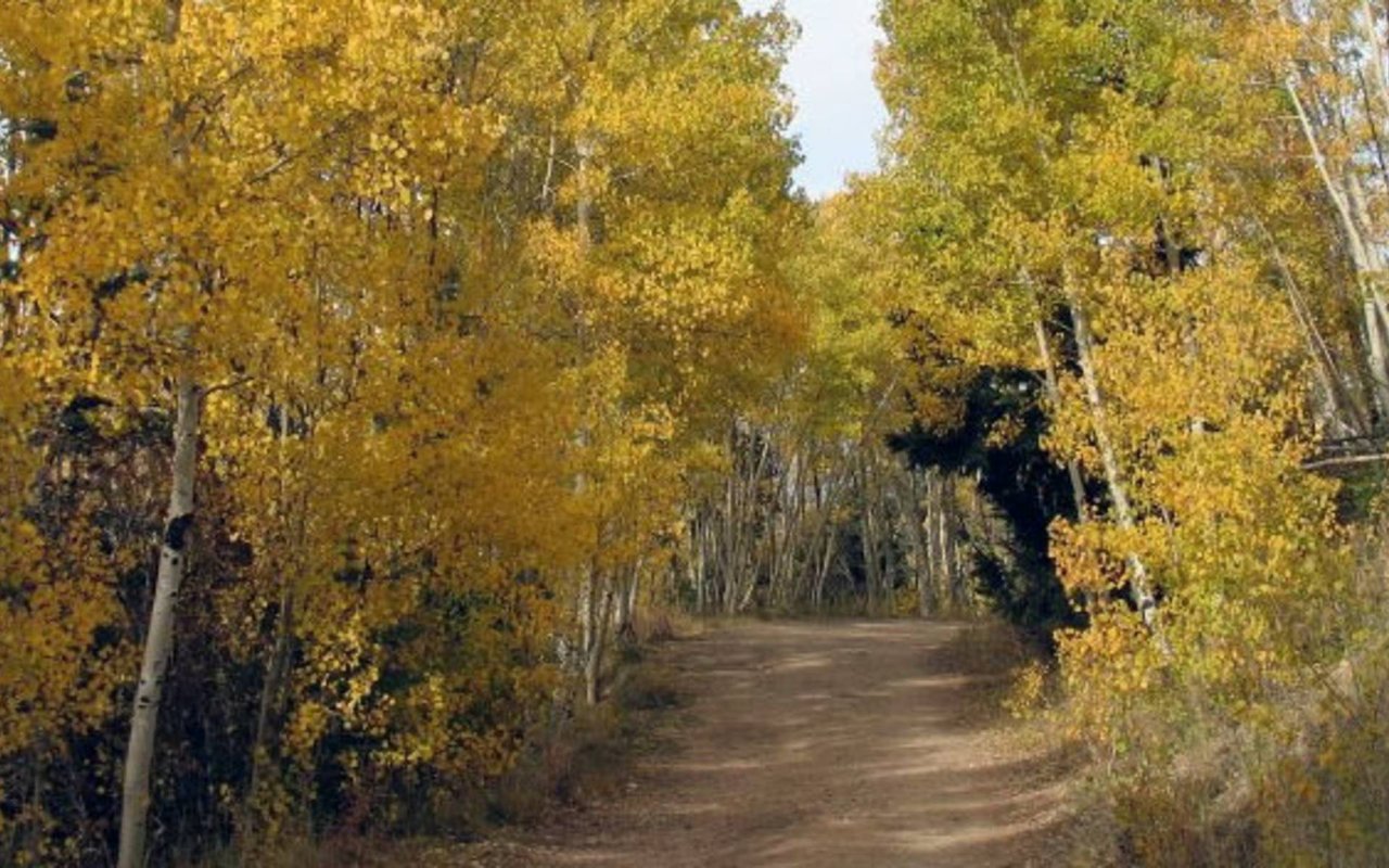 Hiking Trails in Santa Fe