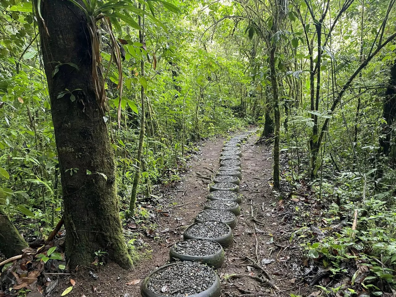 Adventure Tourism Development Land, Lake Arenal, Alajuela