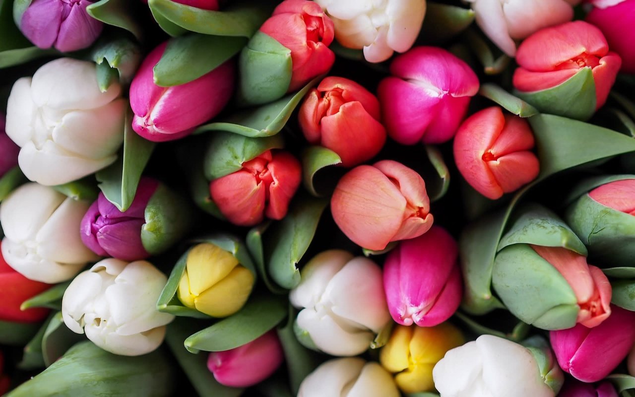 April 2021 Newsletter