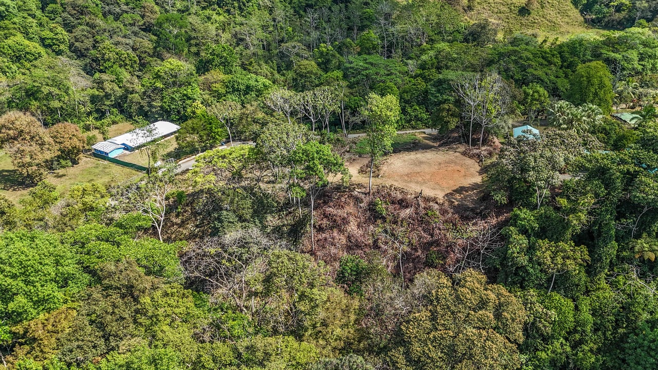 An elevated 1.2 acres lot with two plantels, panoramic mountain and jungle views.