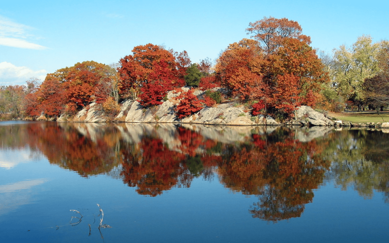The Top Attractions in Greenwich, CT For Locals or Tourists