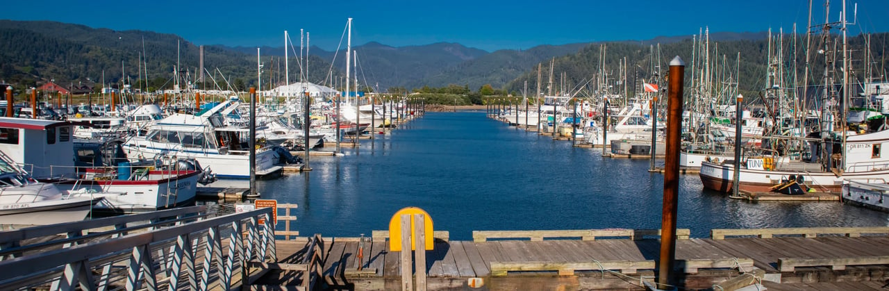 Garibaldi Oregon Fishing Fleet on a sunny day