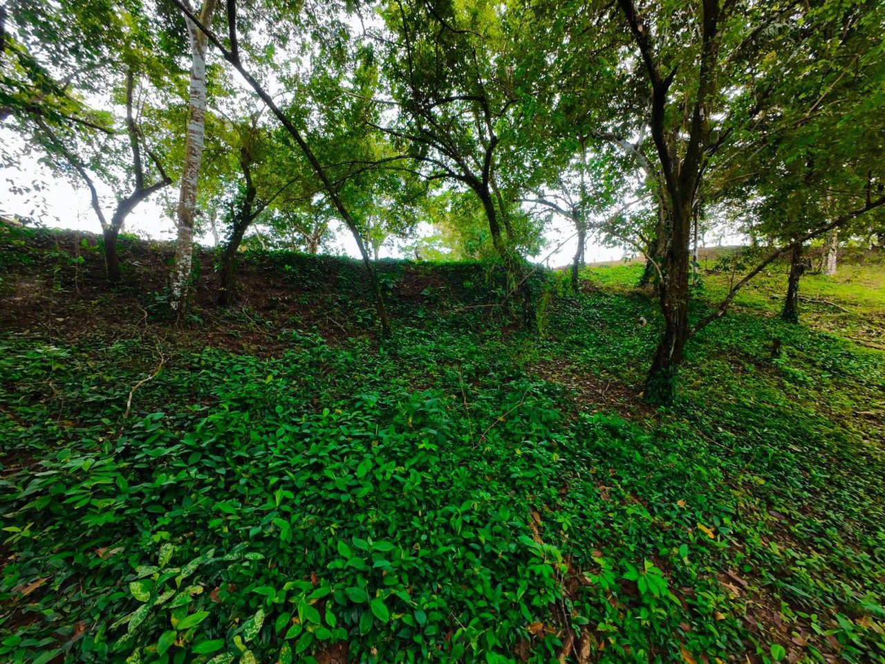 Private Ocean View Development Lot, Ojochal, Puntarenas