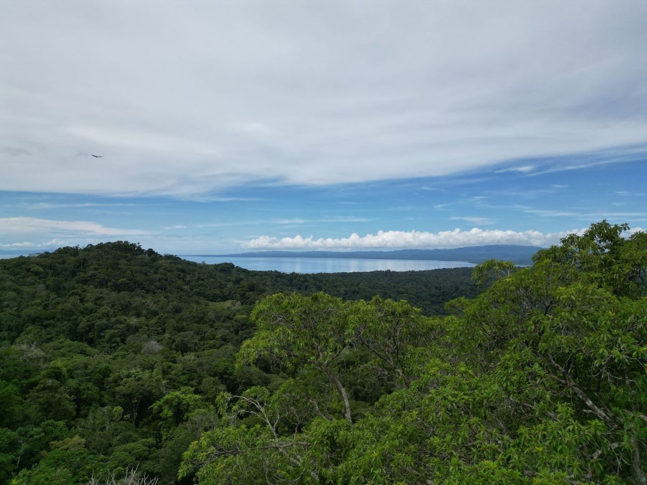 Ocean View Rainforest Acreage, Osa, Puntarenas