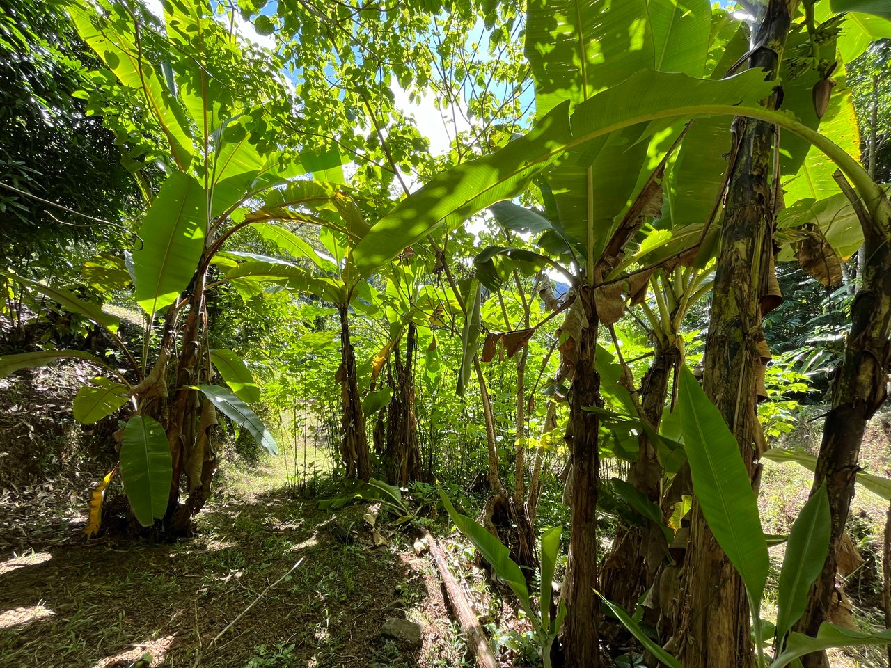 Costa Azul 120-degree Mountain View House With Costarican Wooden House as Lagniappe.