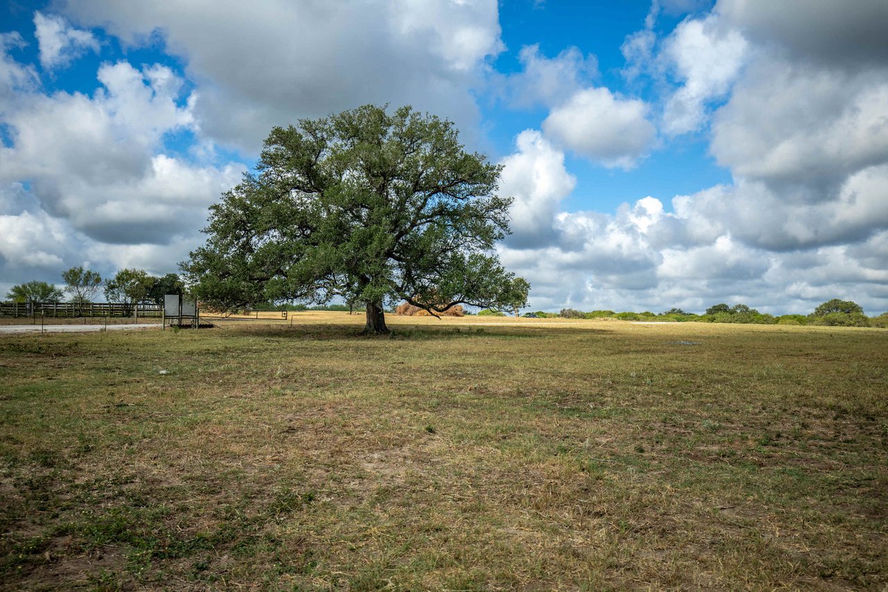The Poco Loco | 278± Acres | DeWitt County