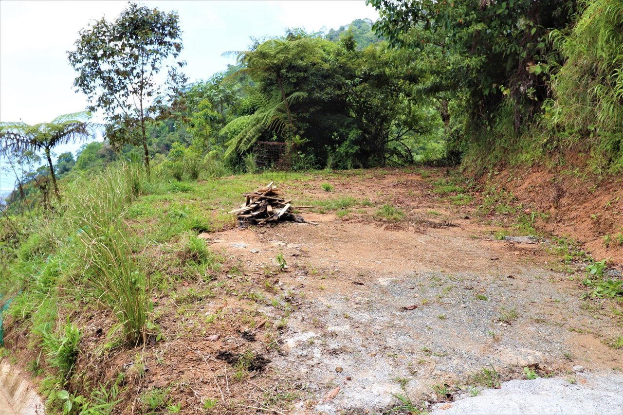 Large Development Farm, Ojochal, Puntarenas