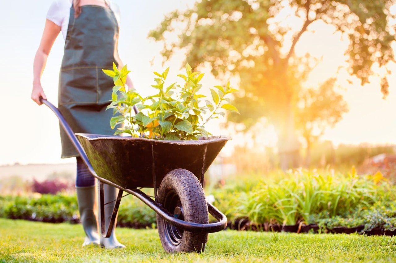 Yard & Garden Prep
