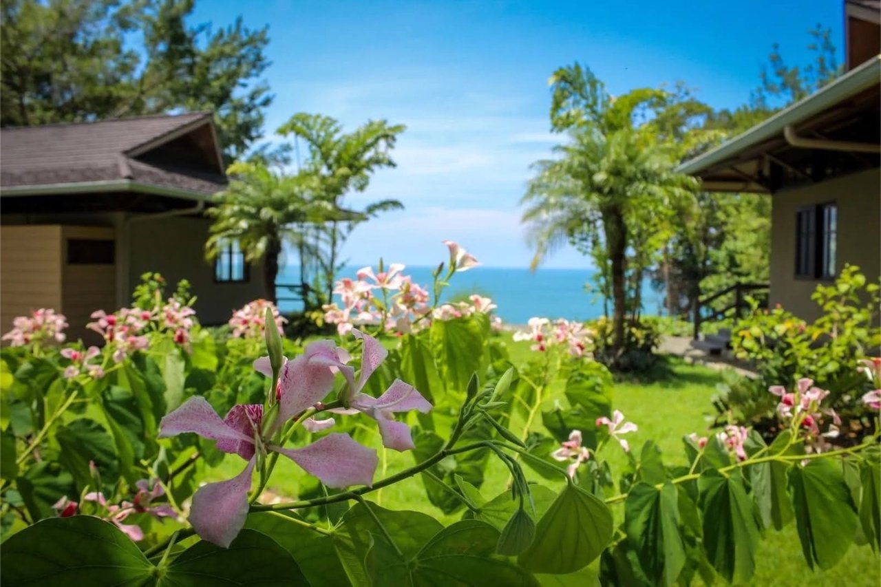 Oceanfront Resort Development Land, Uvita, Puntarenas