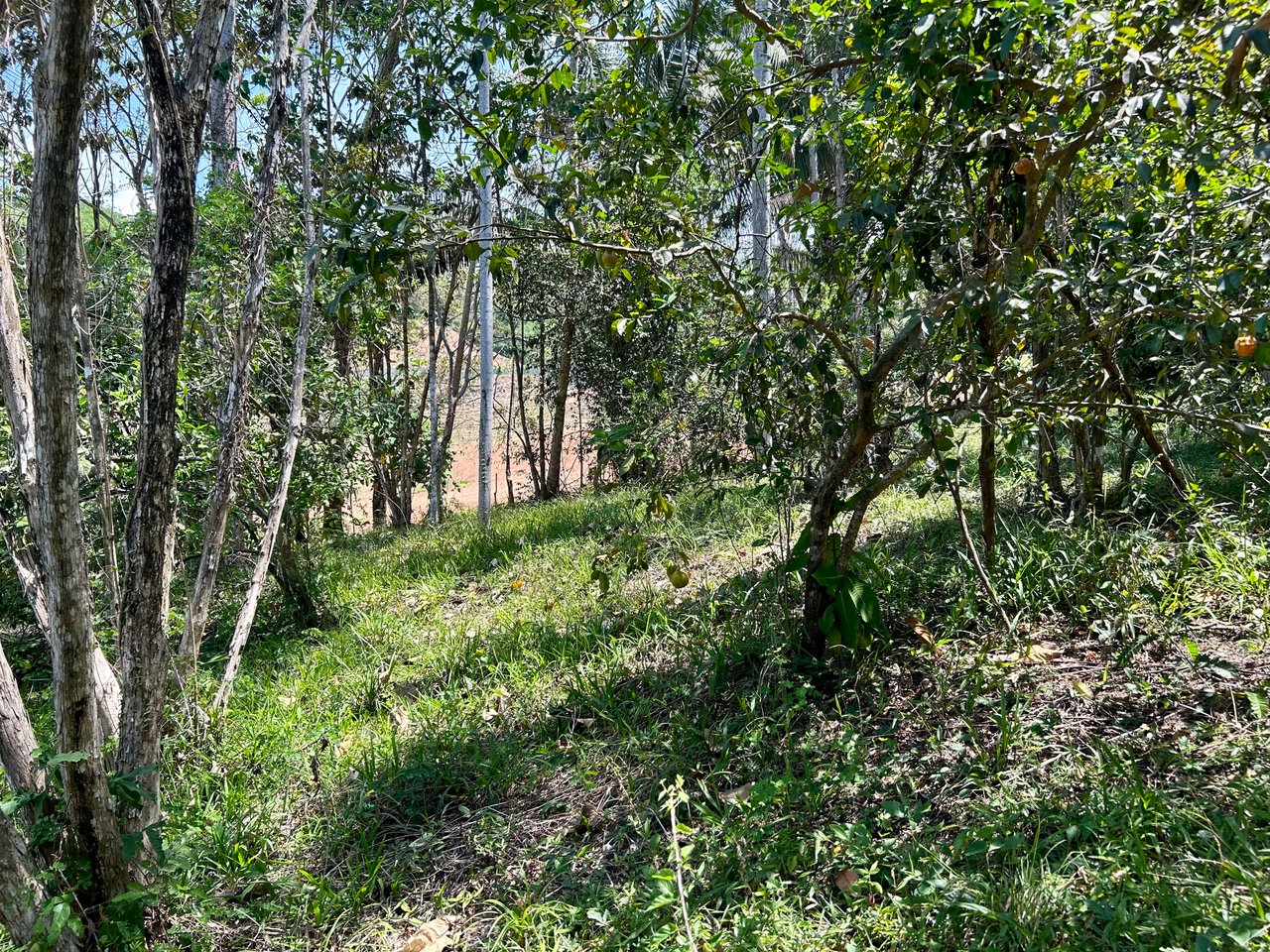 Great Location Land Parcel in Playa Hermosa