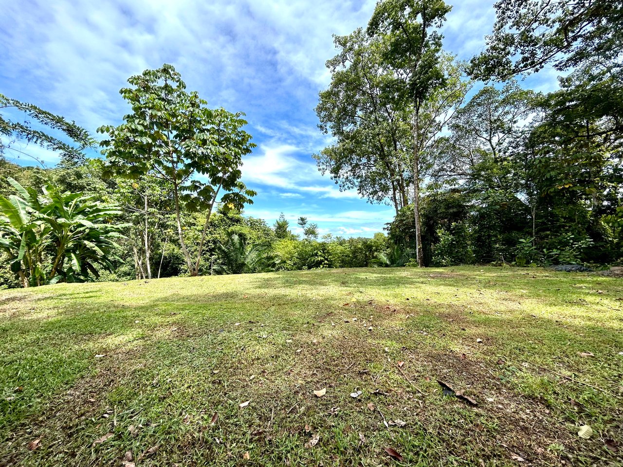 Secret Paradise Property in Altos de la Colonia