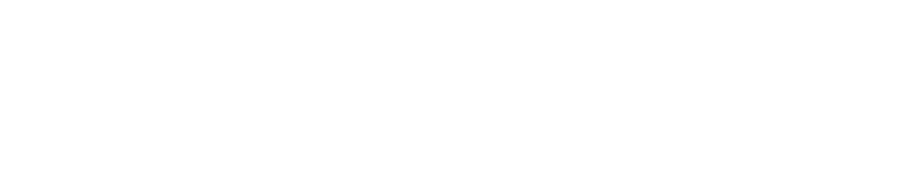 Light Logo