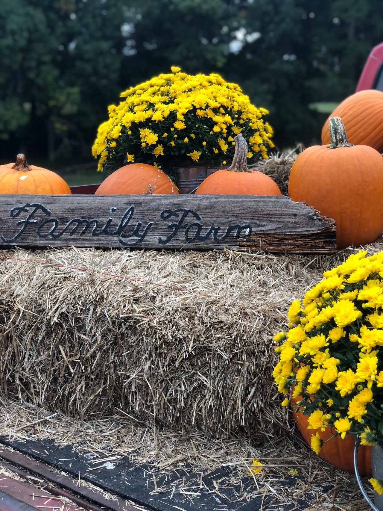 The Family Farm on Avent Ferry