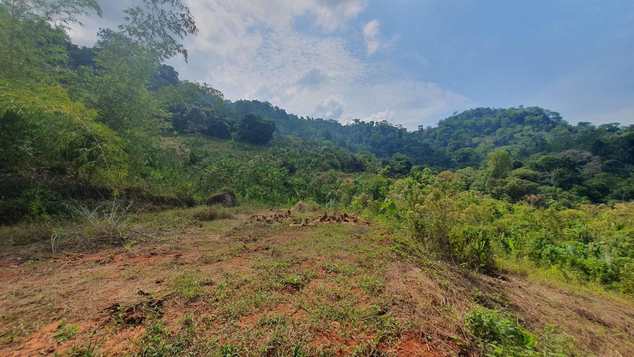 Peaceful Land for Sale