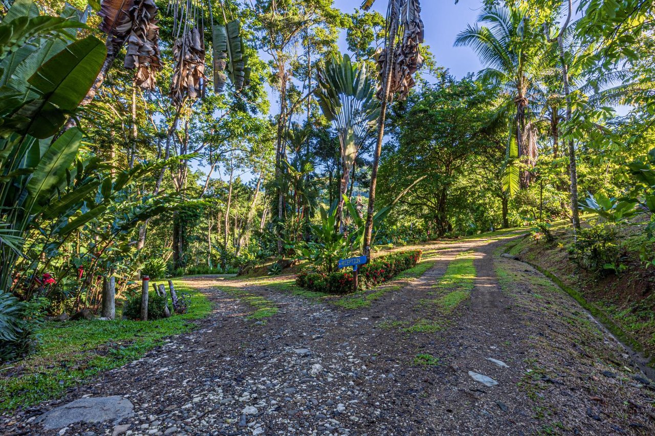 Uvita, Jungle Retreat Center on the Uvita River. Private and 17 Acres