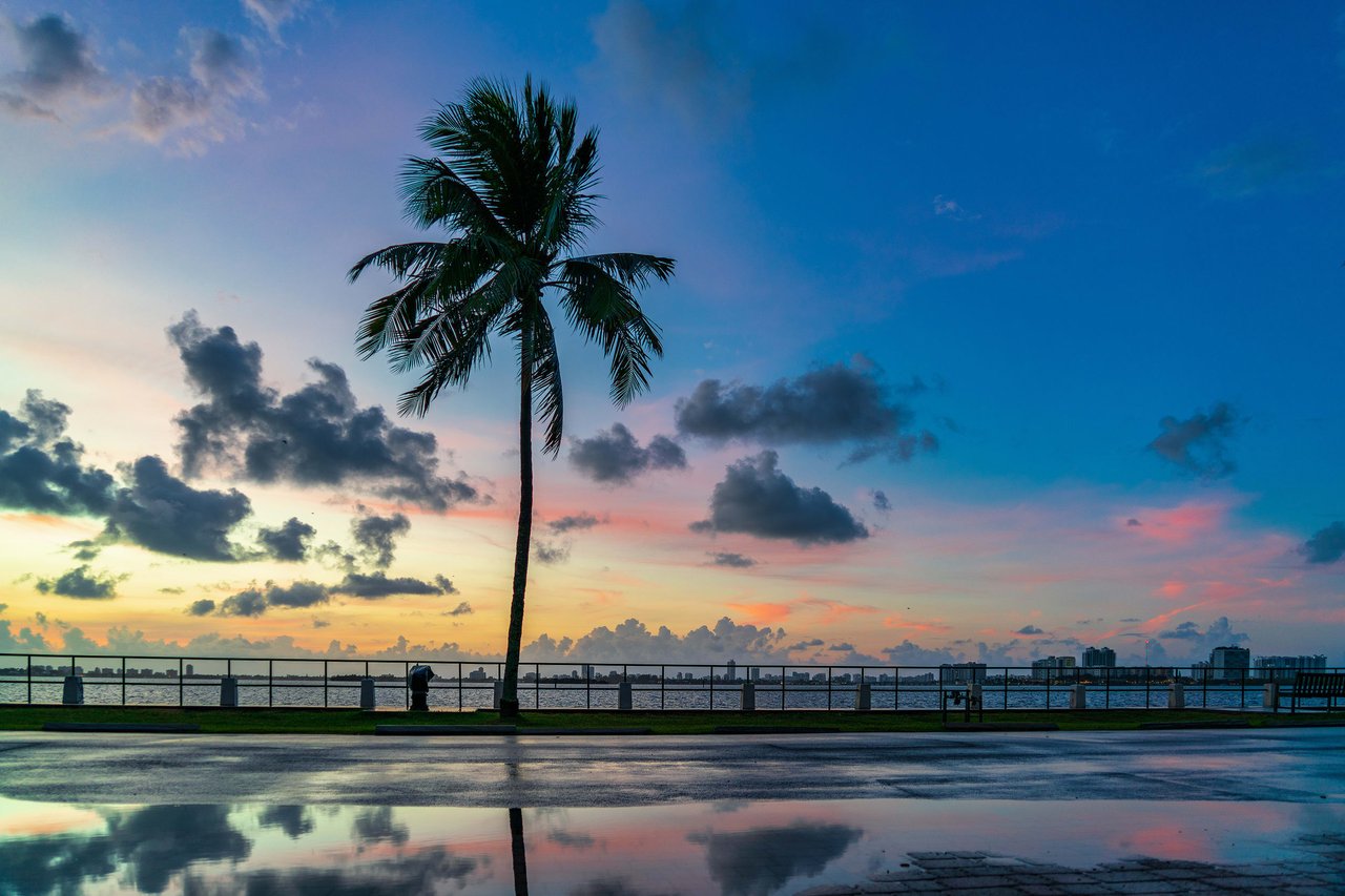 Access Our Latest Market Report | TRENDS June 2023