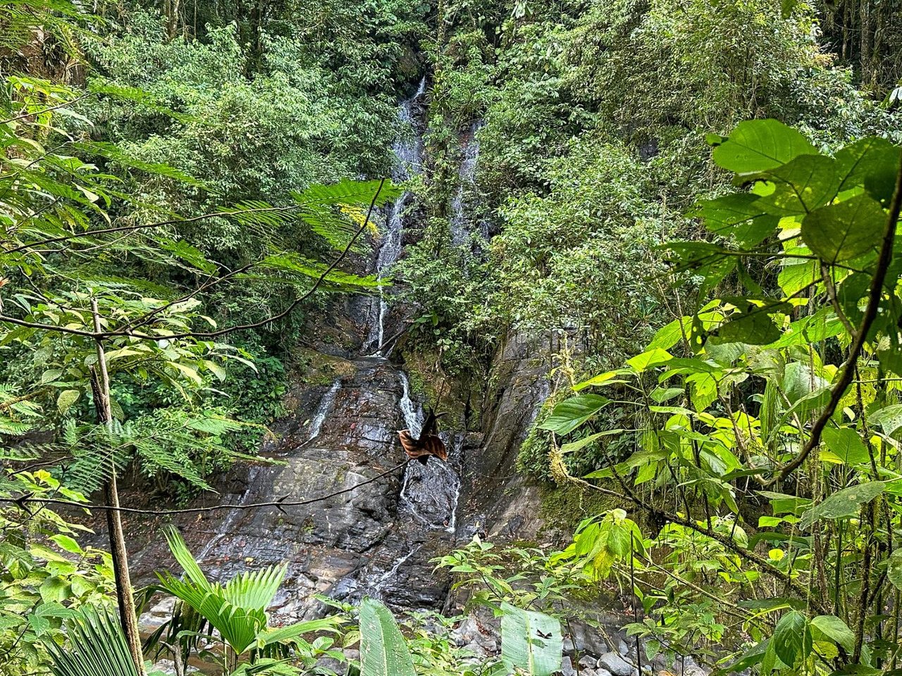 Waterfall Rainforest River Estate, Uvita, Puntarenas