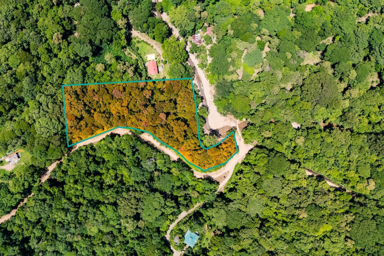 Riverfront Development Land, Ojochal, Puntarenas