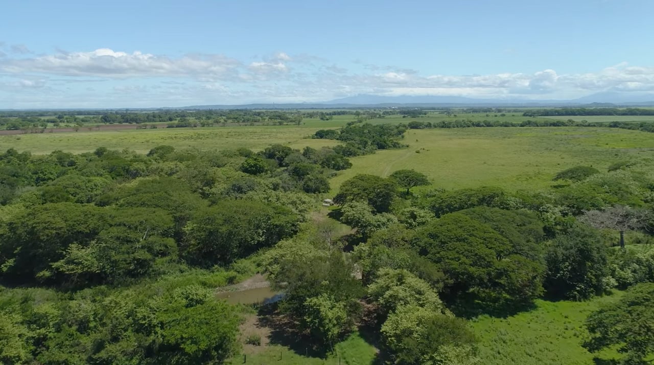 Strategic Cattle Ranch Development, Tamarindo, Guanacaste