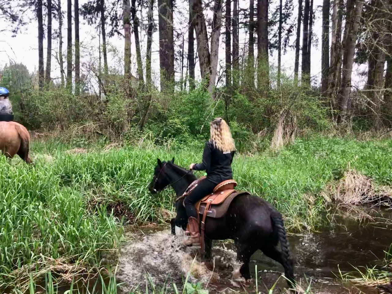 Blue Diamond Ranch