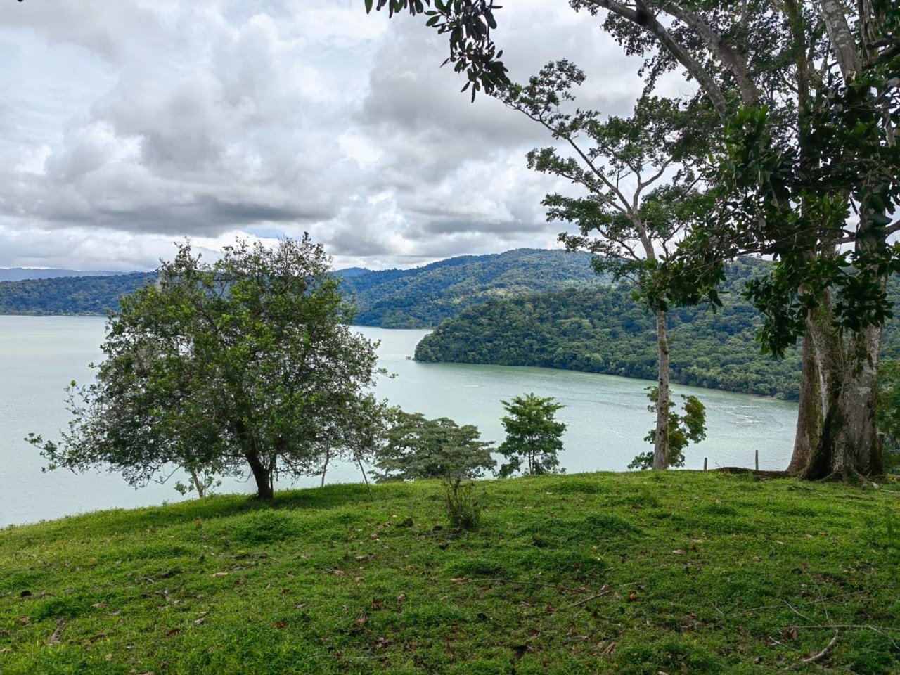 Coastal Development Land, Osa, Puntarenas