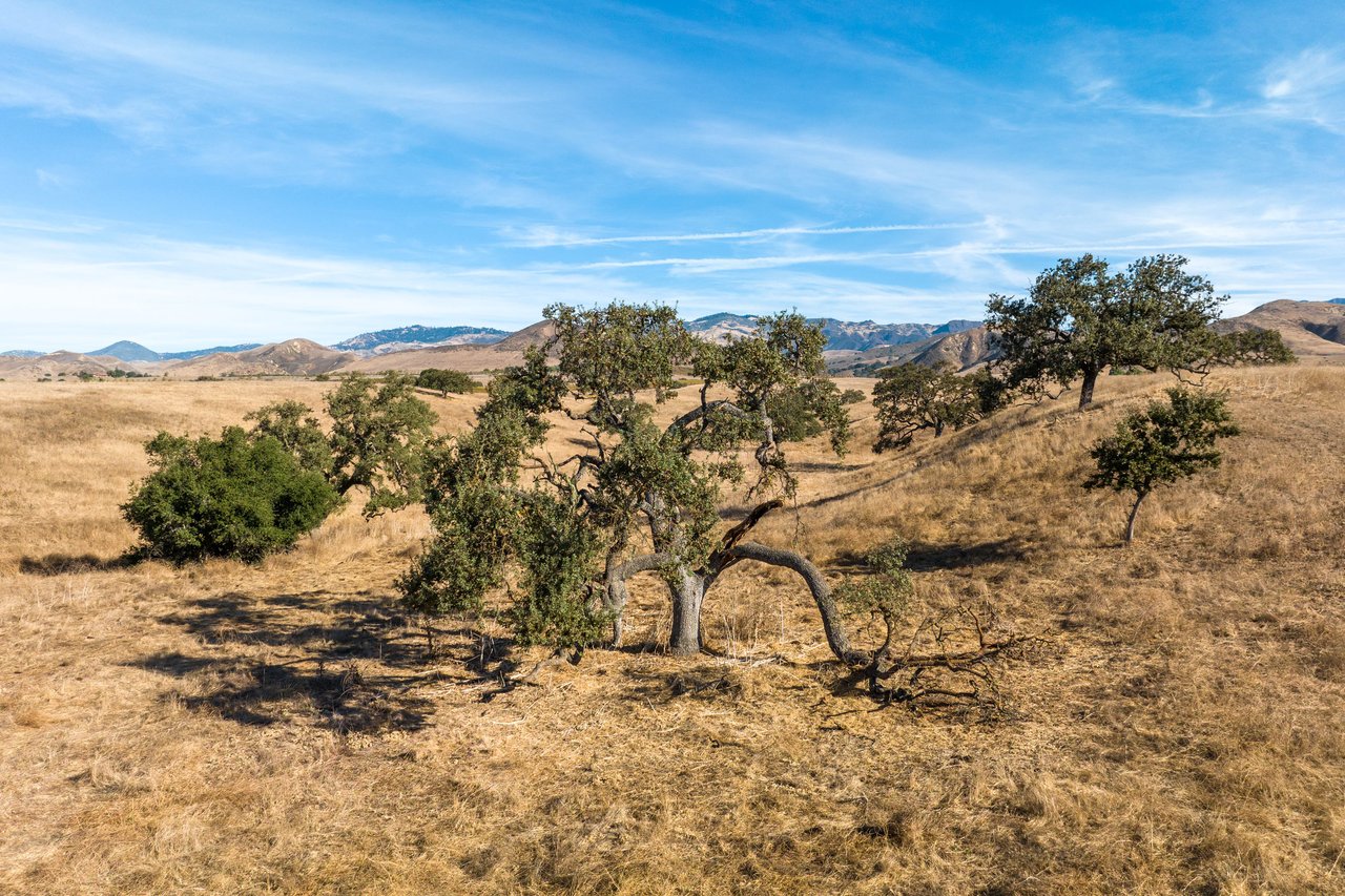 105+/- Magical Acres in Happy Canyon