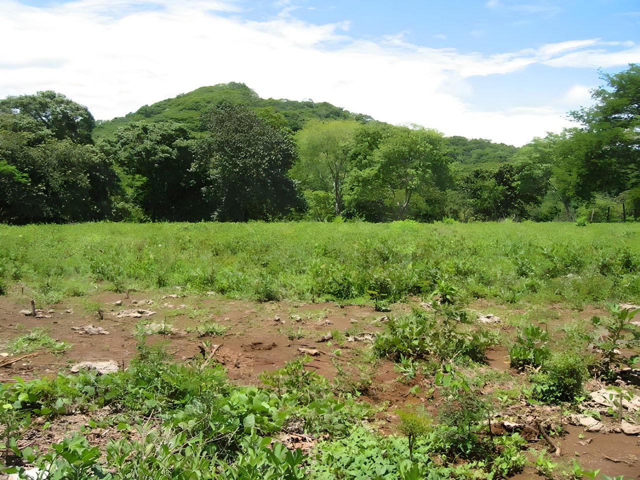 Ocean View Development Acreage, Tamarindo, Guanacaste