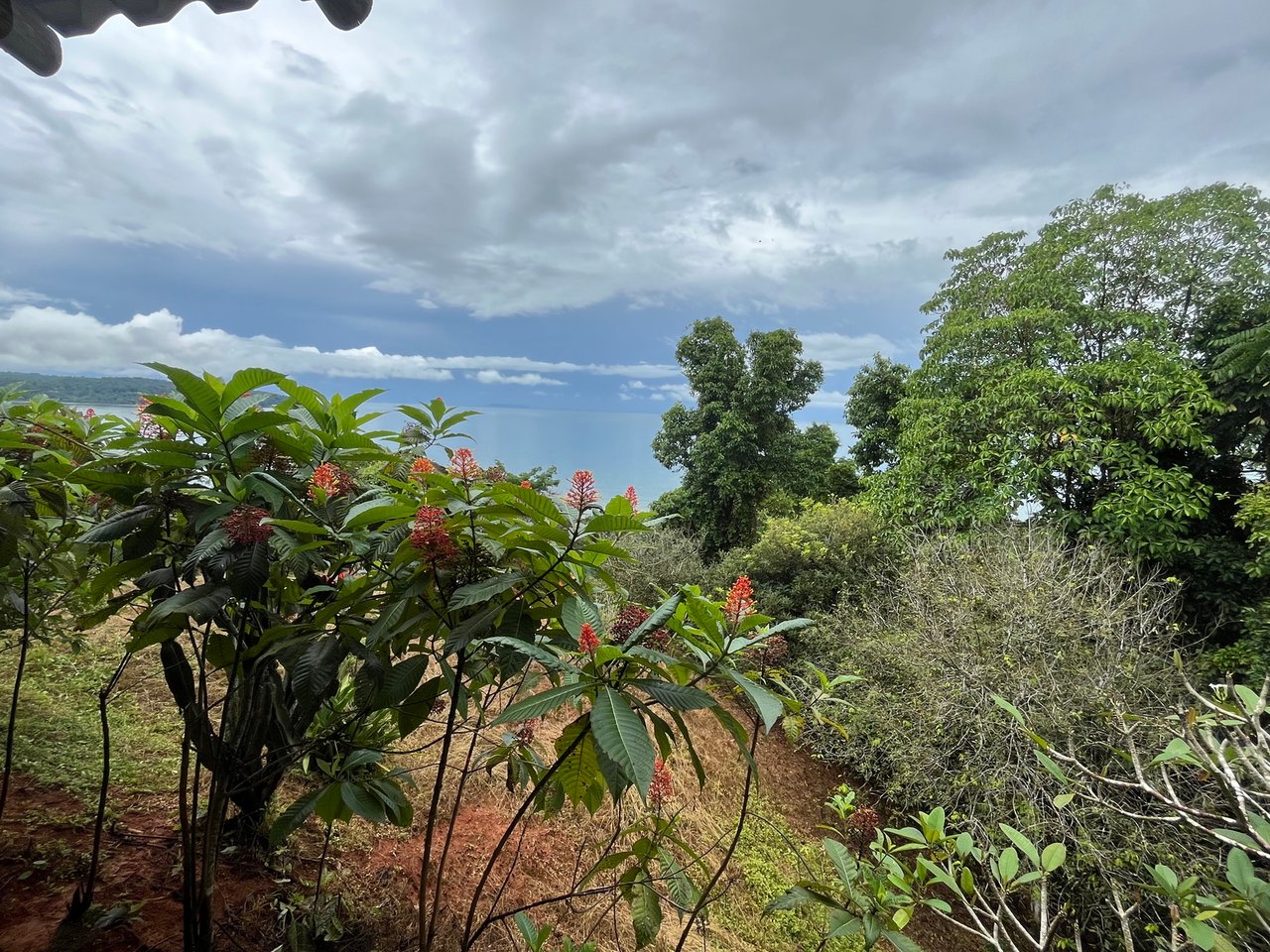 Private Ocean View Lot, Osa, Puntarenas