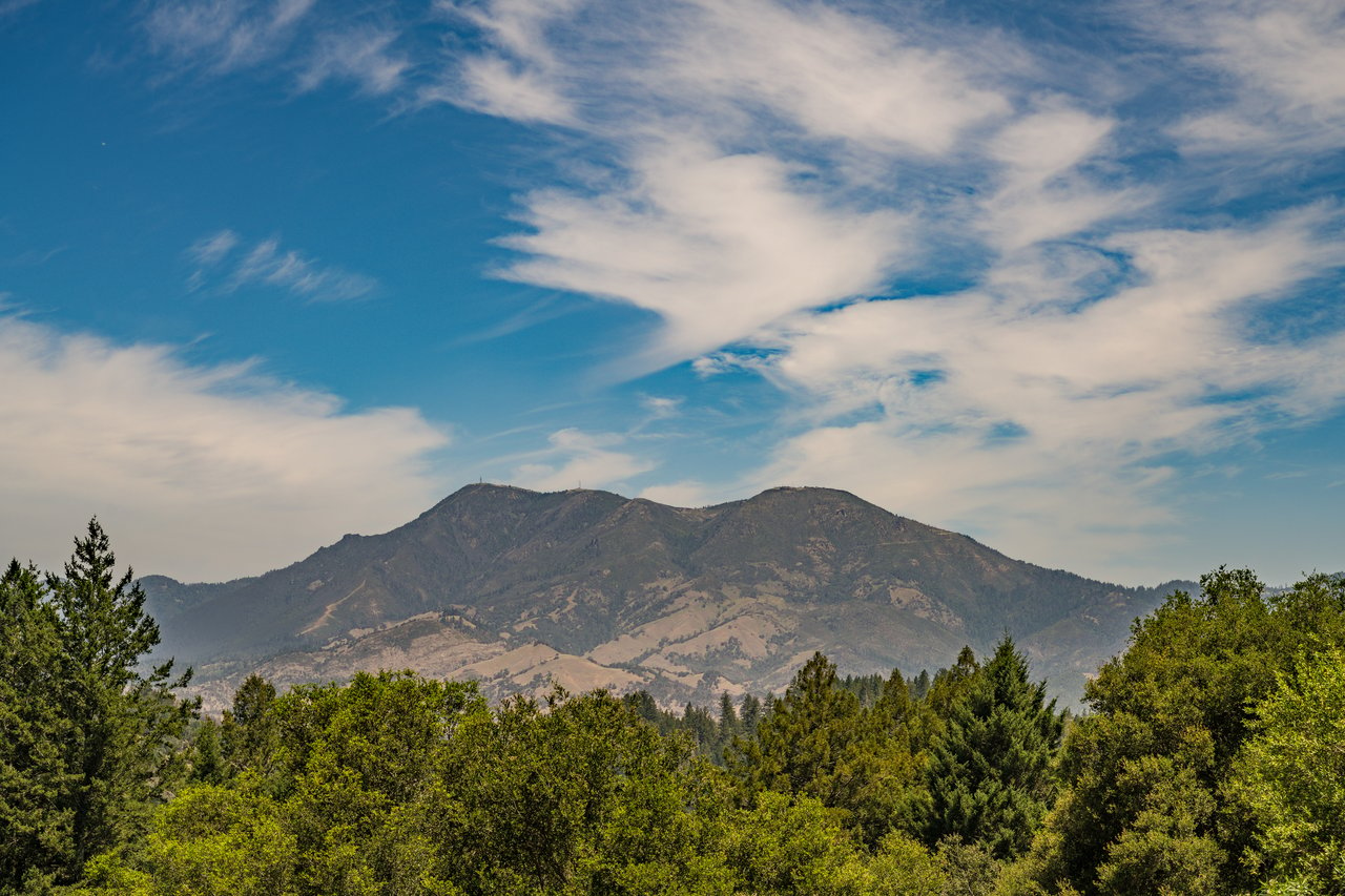 Sharp Road, Calistoga