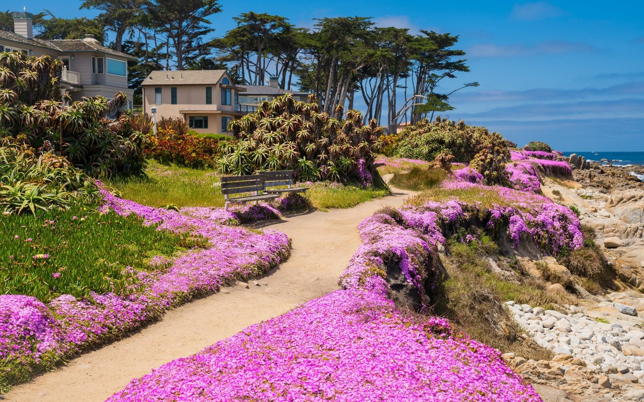 PACIFIC GROVE