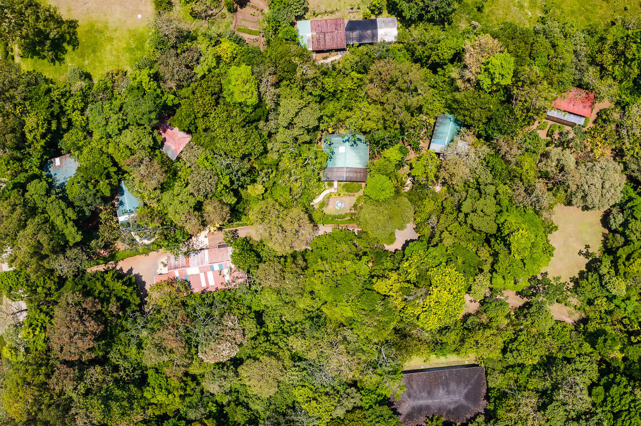 Casitas Tenorio B&B | Turnkey Eco-Lodge in Bijagua, Profitable Business, Sustainable Luxury, and Breathtaking Nature