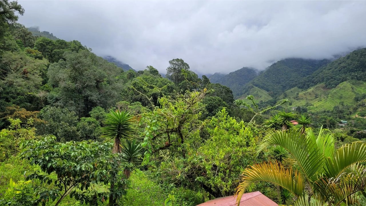 Mountain Retreat with Guest Cabin, Perez Zeledon, San Jose
