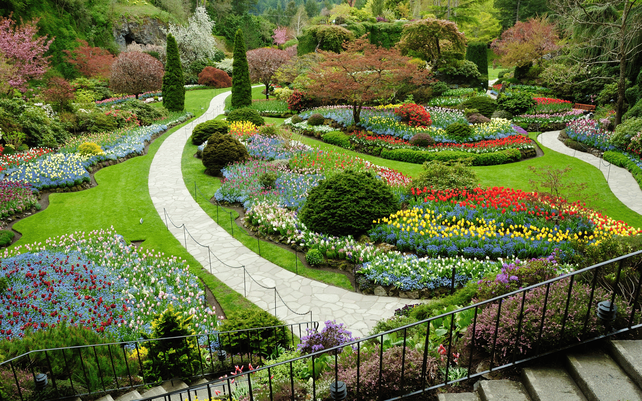 Landscaping Tips to Make Your Home More Attractive